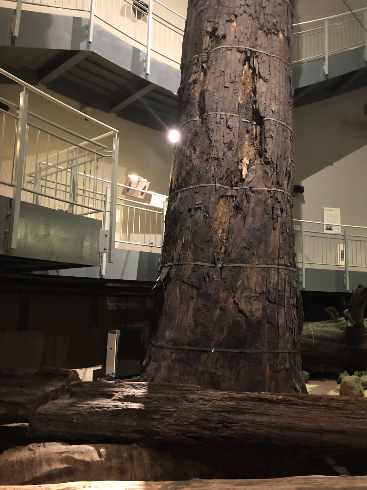 Sanbe Azukihara Buried Forest Museum