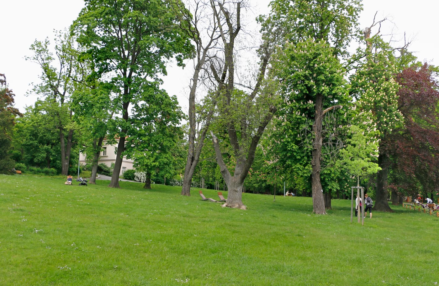Klamovka garden