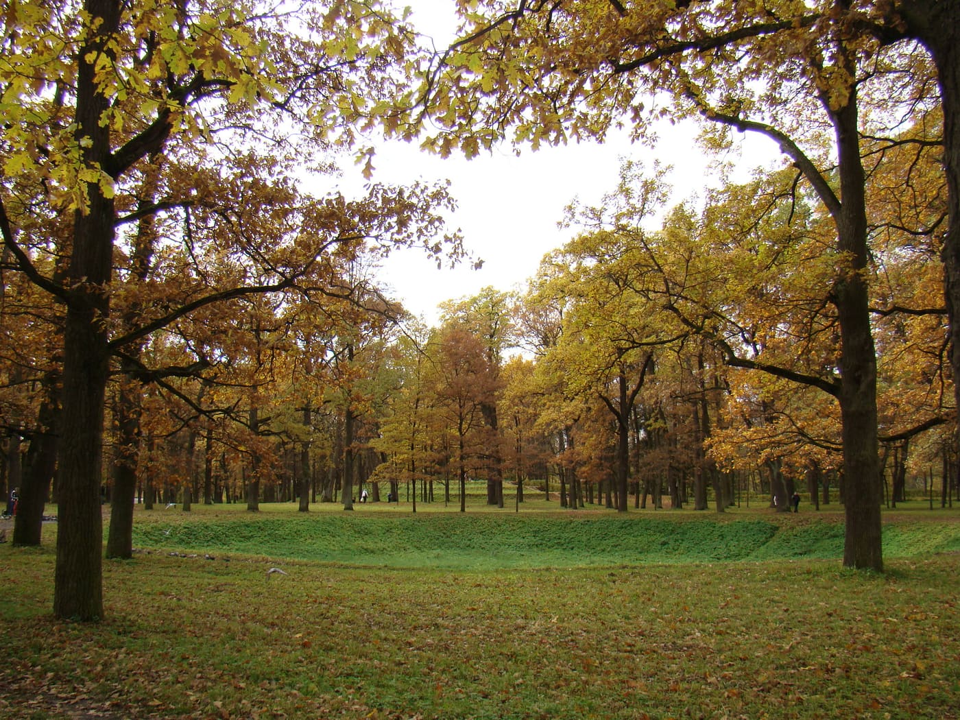 Botanic Gardens of Gatchina Palace Park
