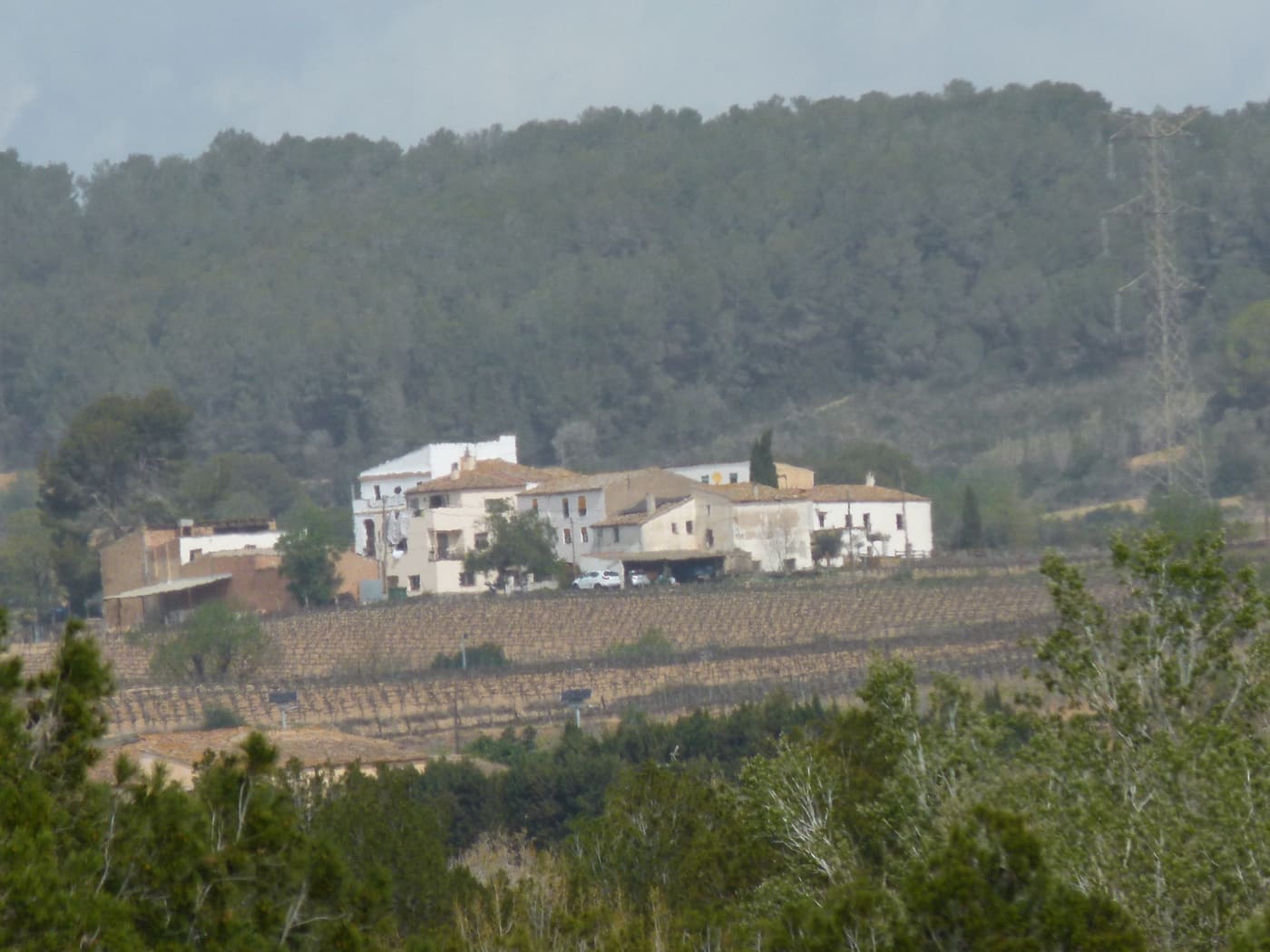 Barriada de Can Martí de les Parellades