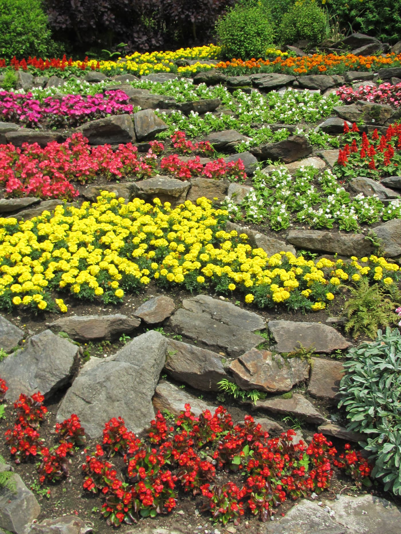 Giardino Roccioso