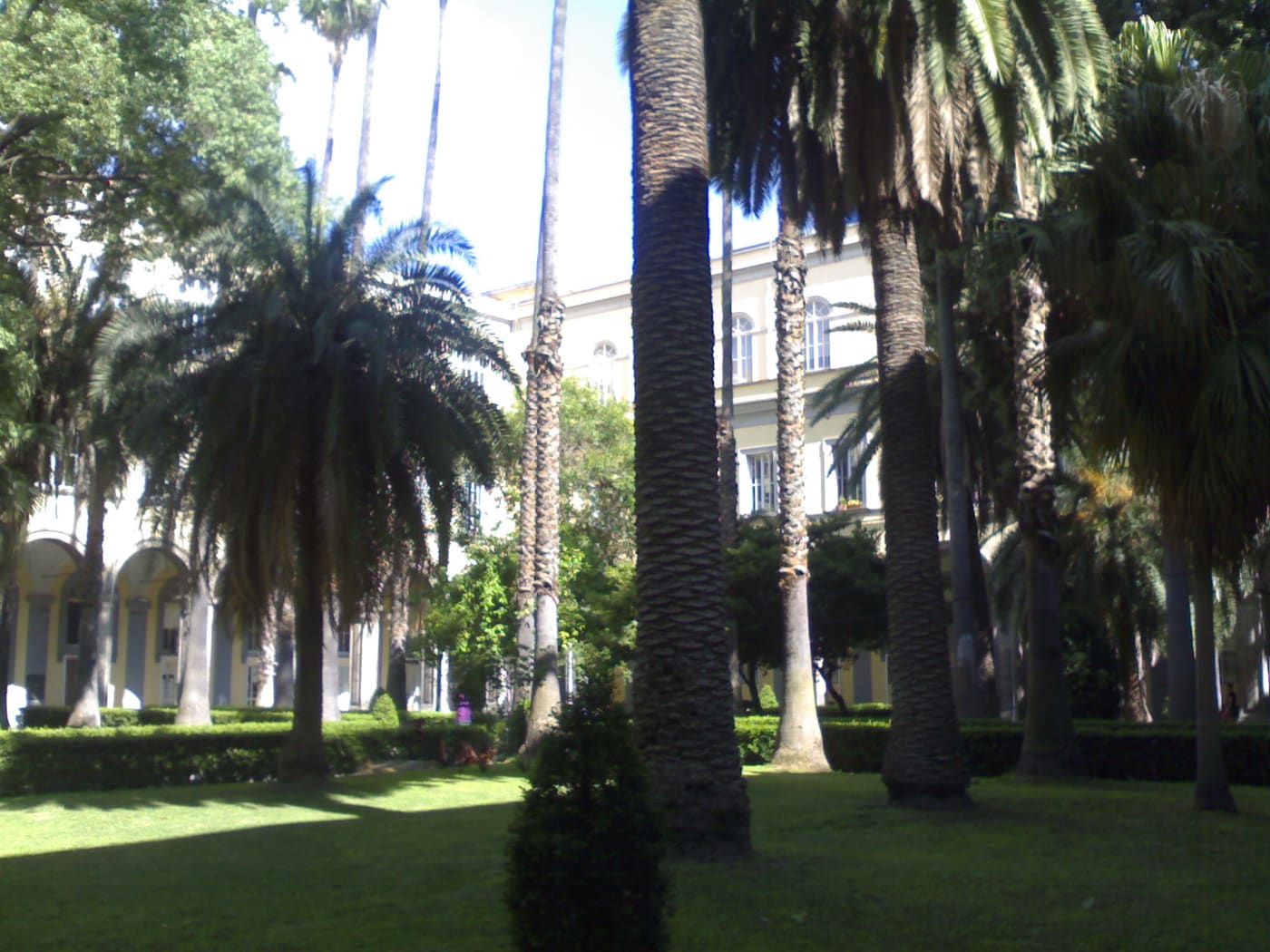 Sant'Andrea delle Dame, Naples