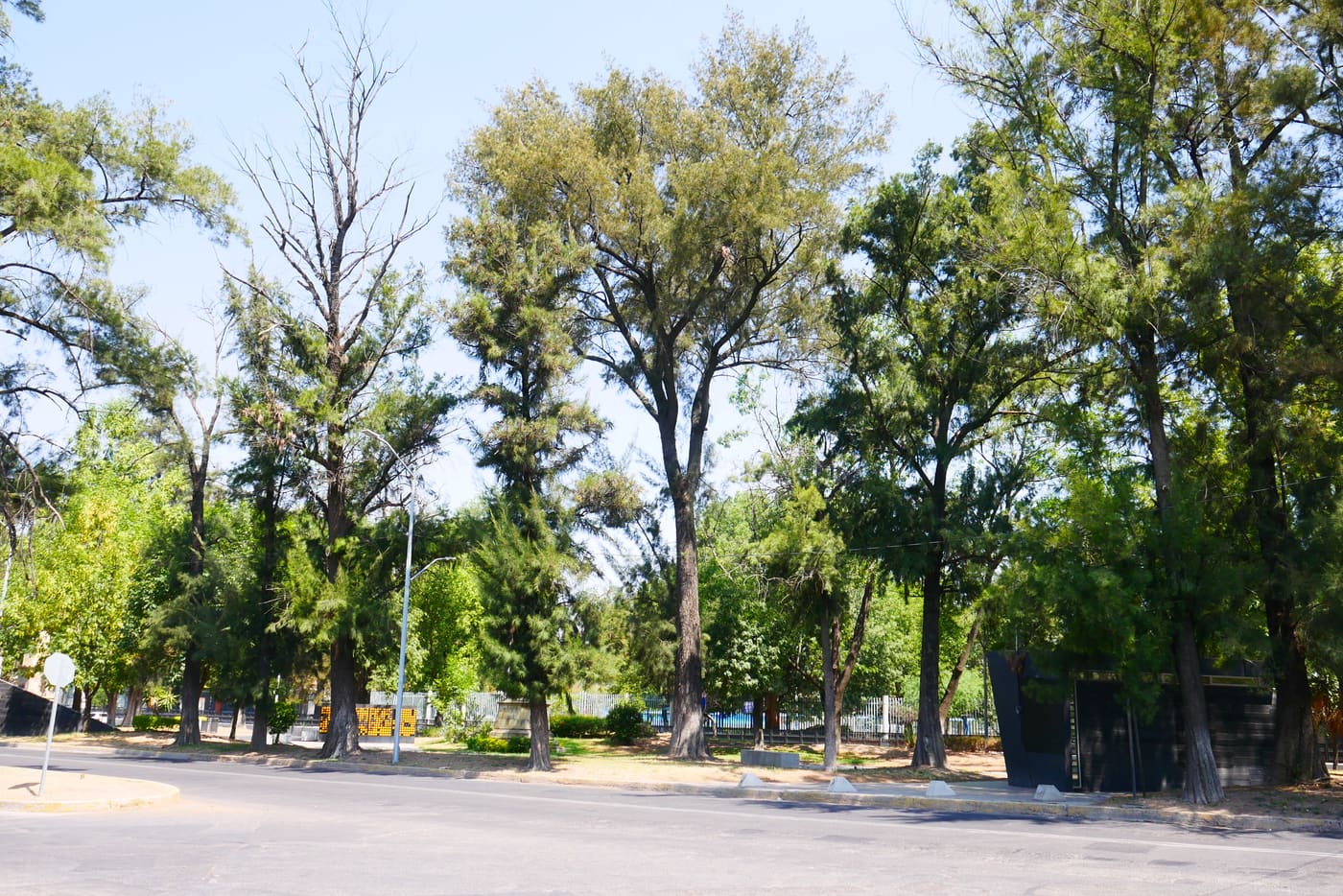 La Alameda