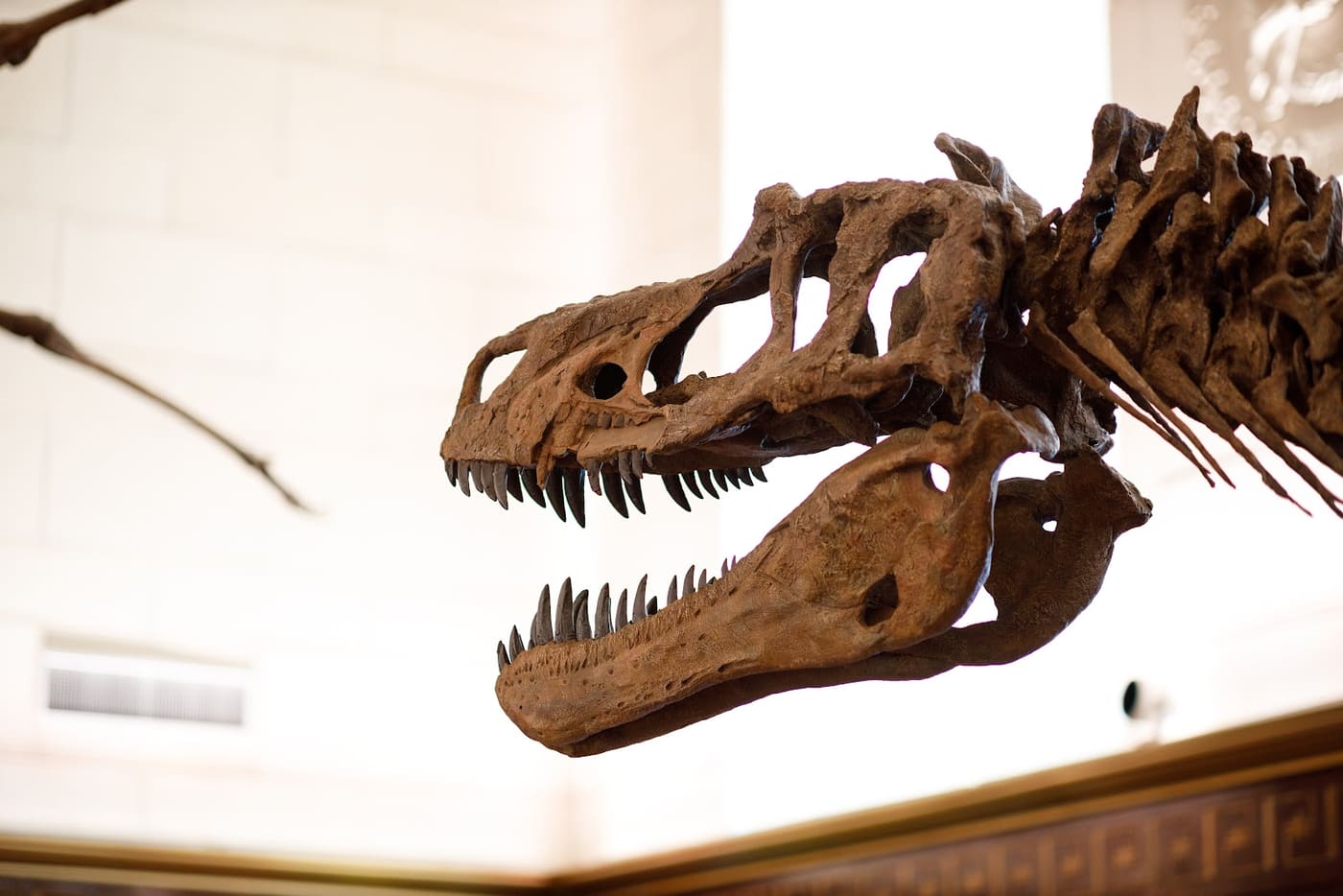 Texas Science and Natural History Museum