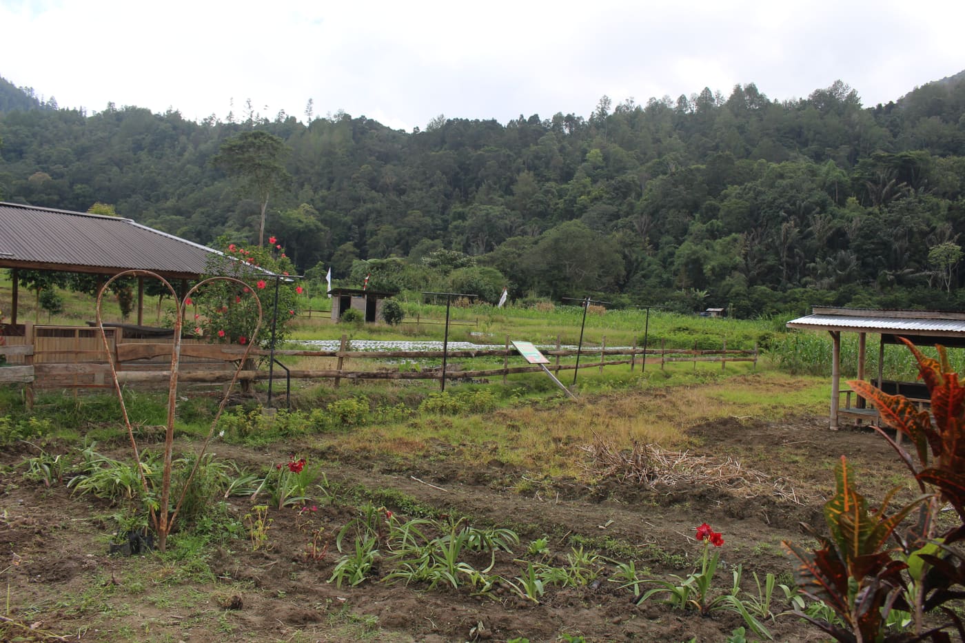 Q131399493
