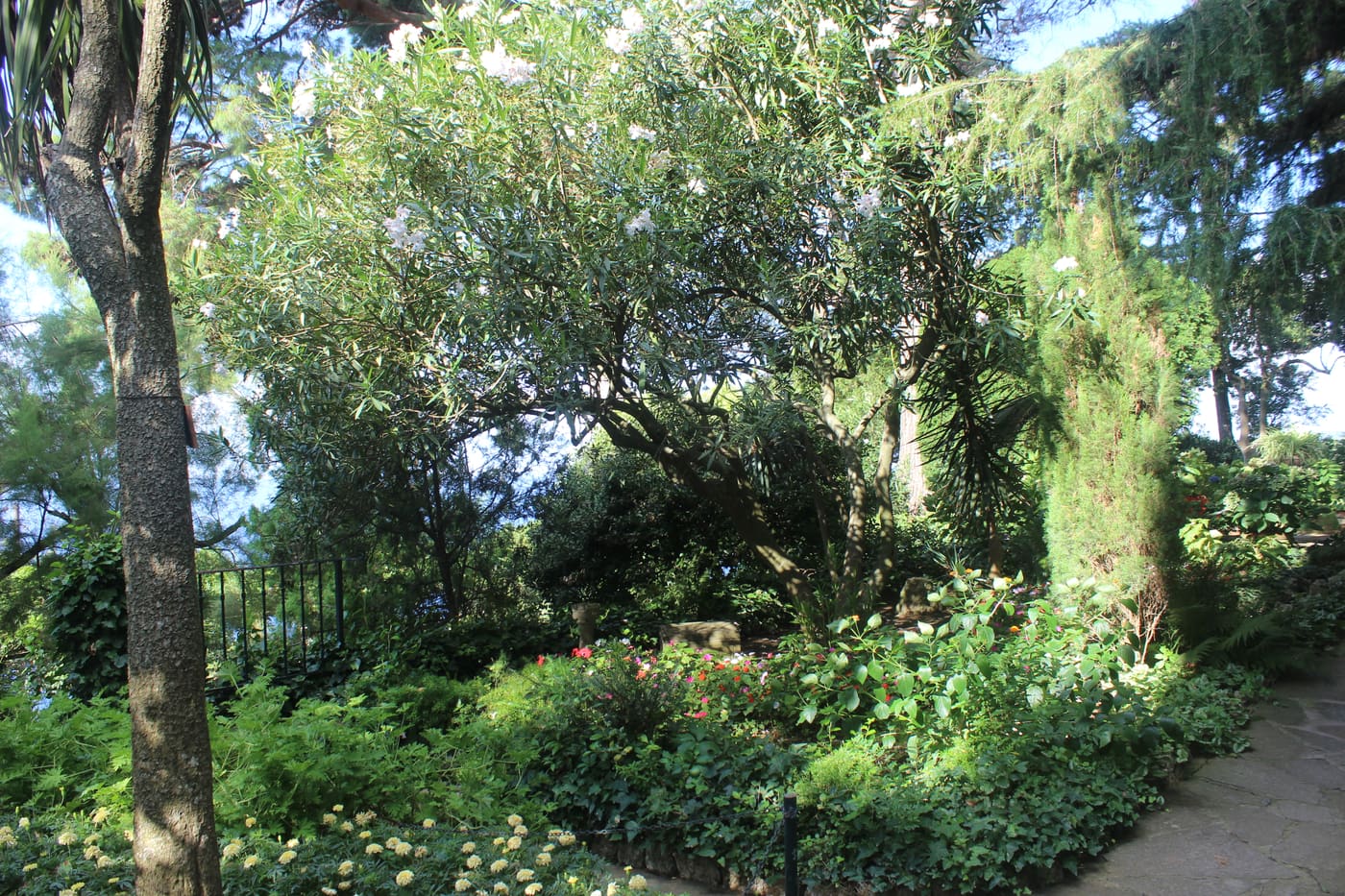 Garden of Villa San Michele