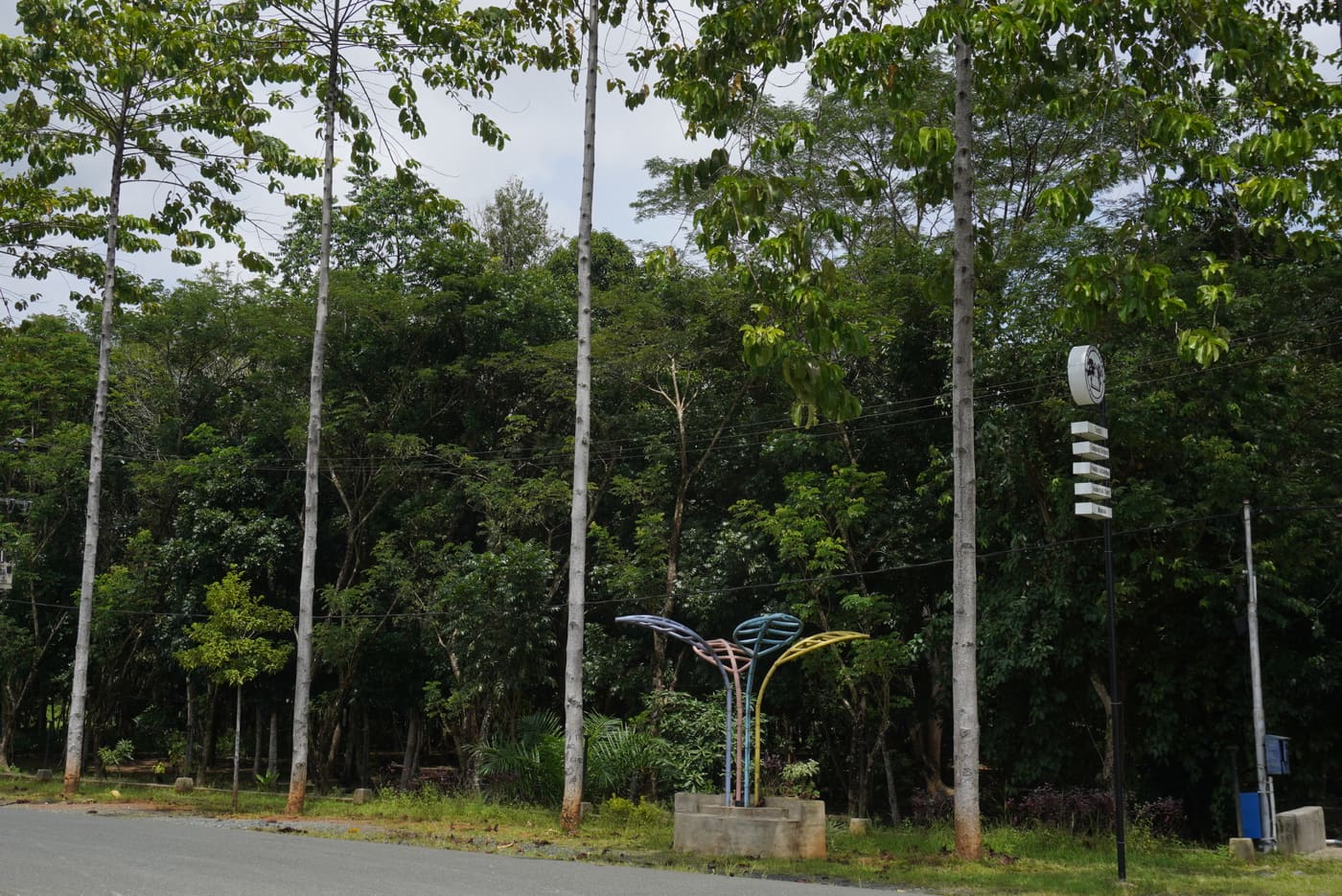 Batulicin City Forest