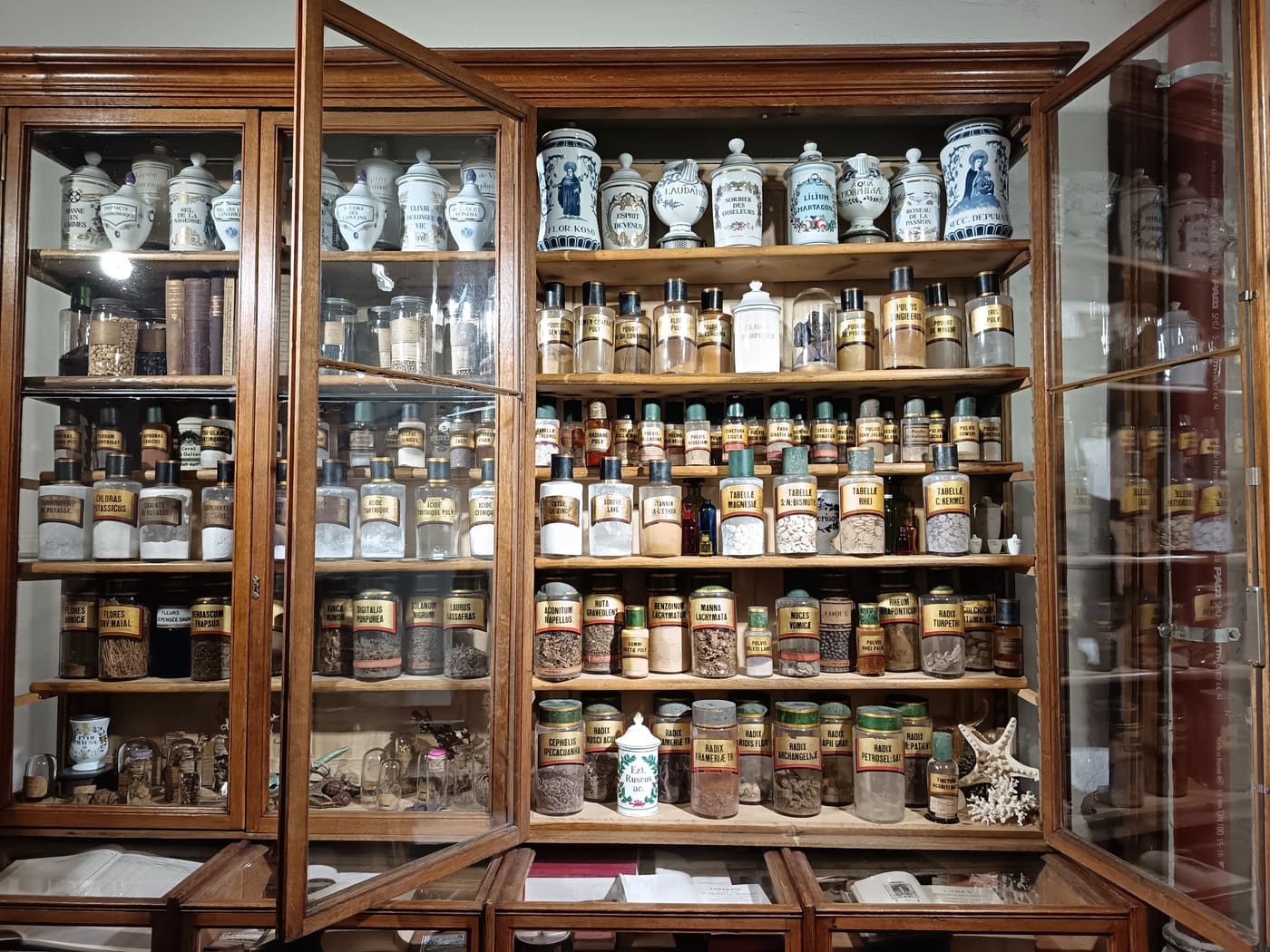 Droguier of the Institute of Pharmaceutical and Biological Sciences