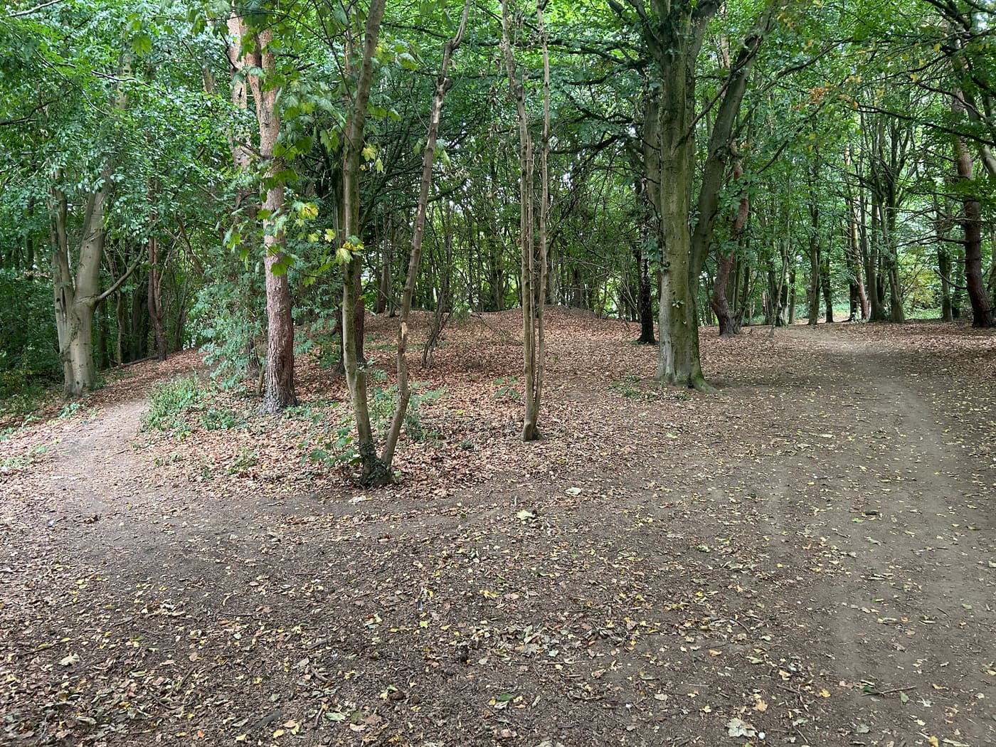 Beech Tree Colliery, Cradley Heath
