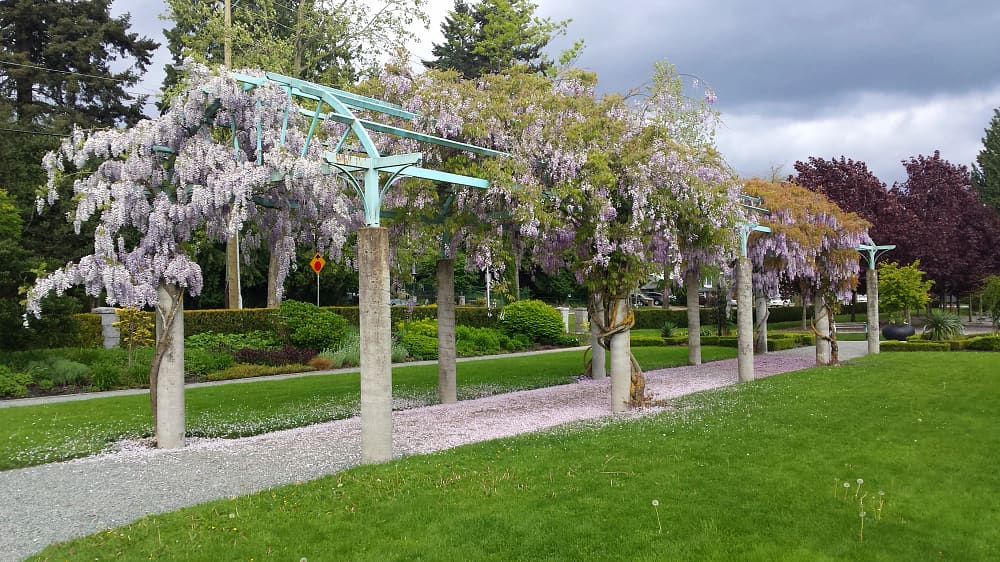 Fleetwood Gardens