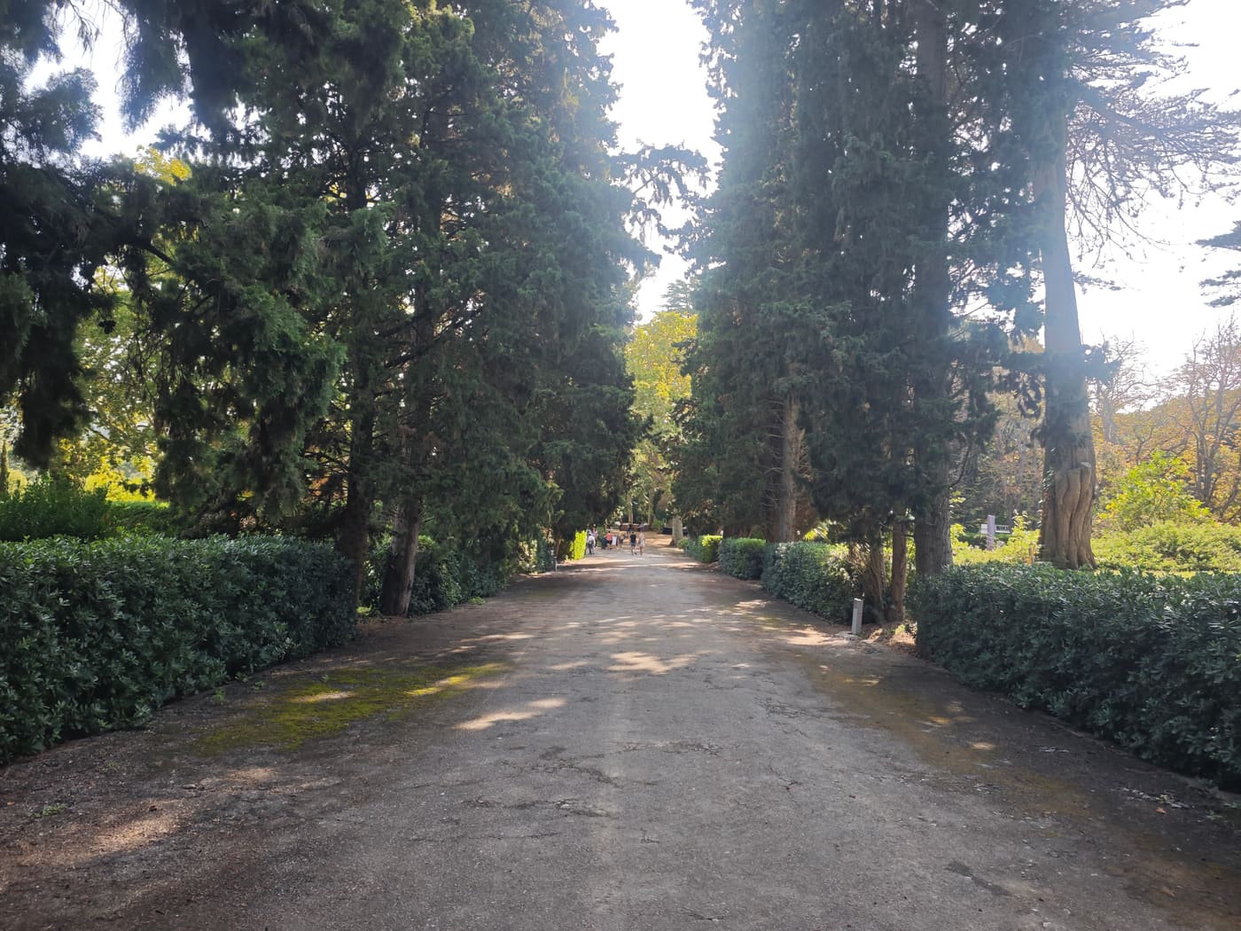 Jardins del Baró de Viver