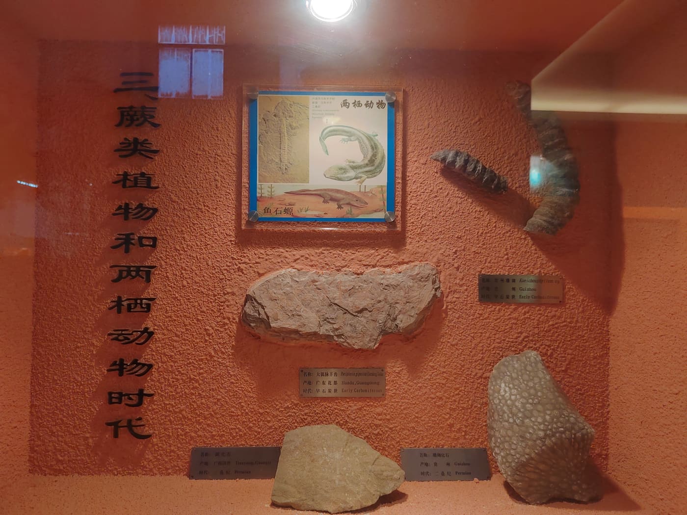 The Museum of Biology, Sun Yat-sen University