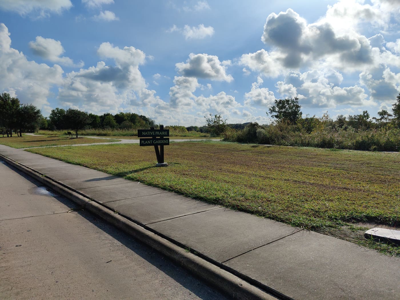 Native Prairie Plant Garden (Willow Waterhole Greenway)