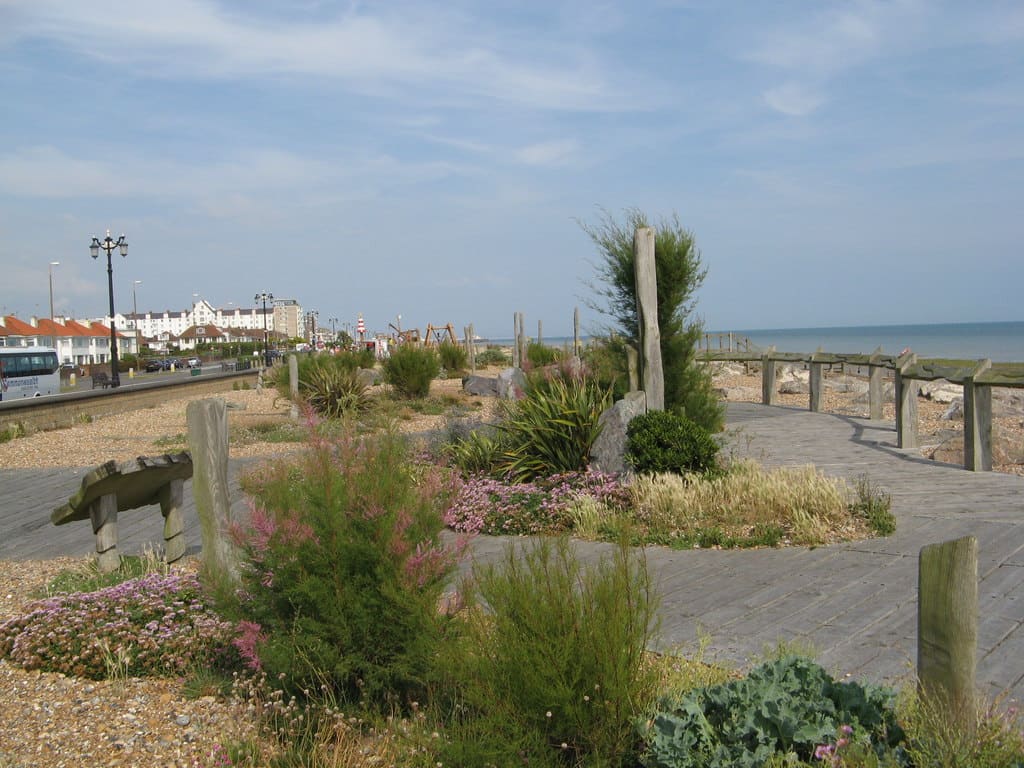 Waterwise Garden