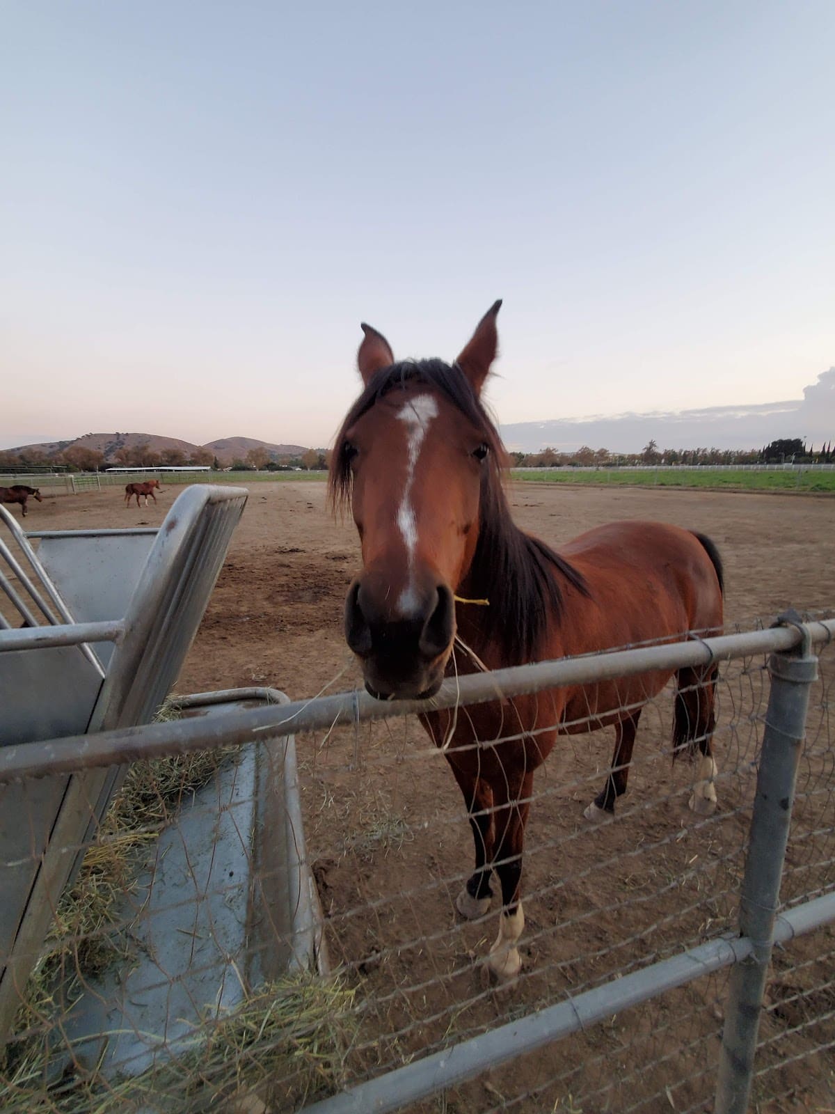 W. K. Kellogg Arabian Horse Center