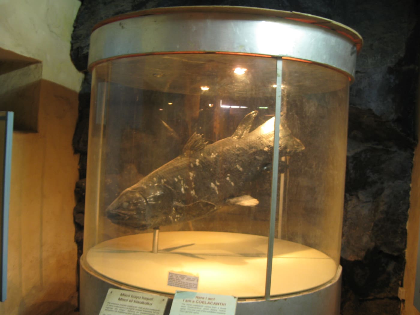 Malindi Museum
