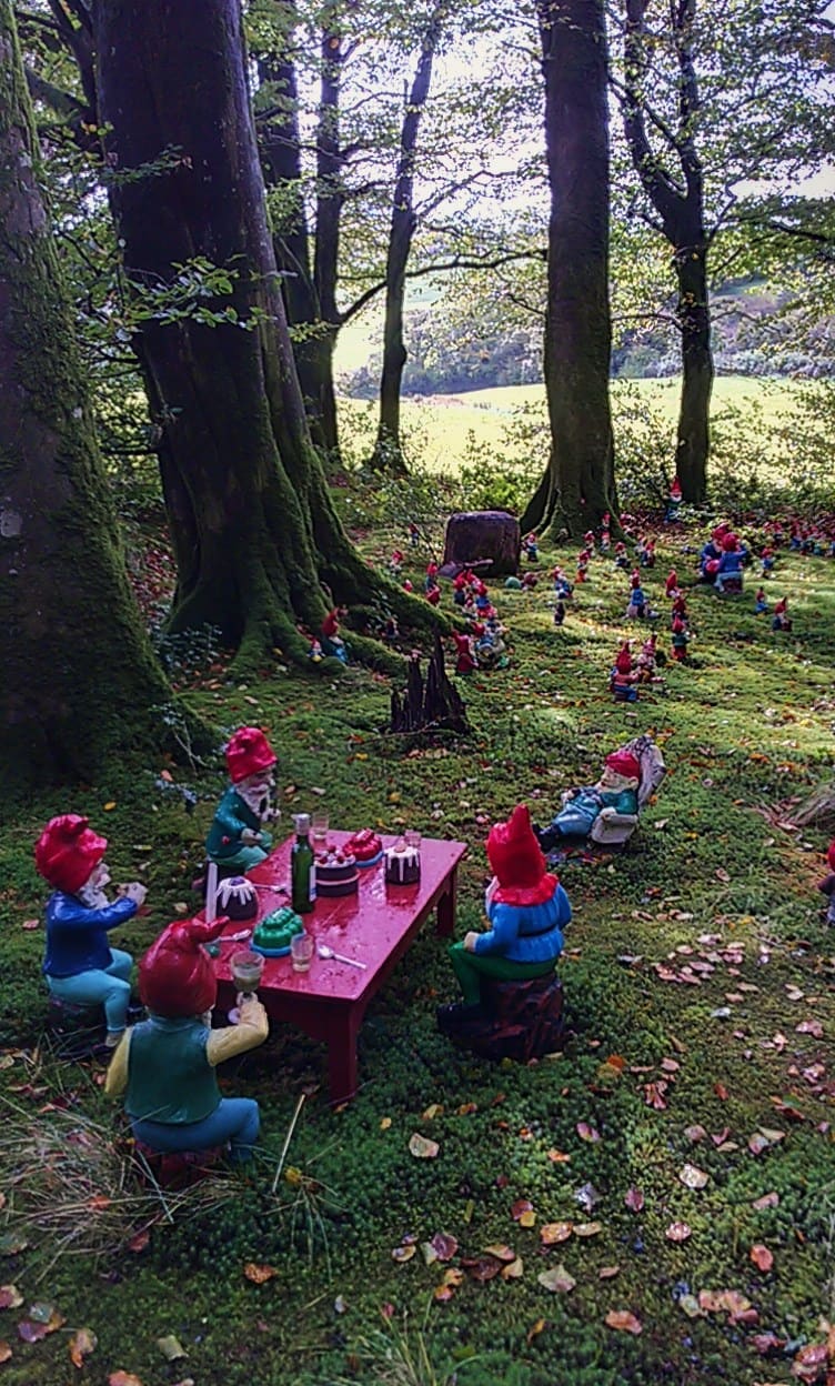 Gnome Reserve