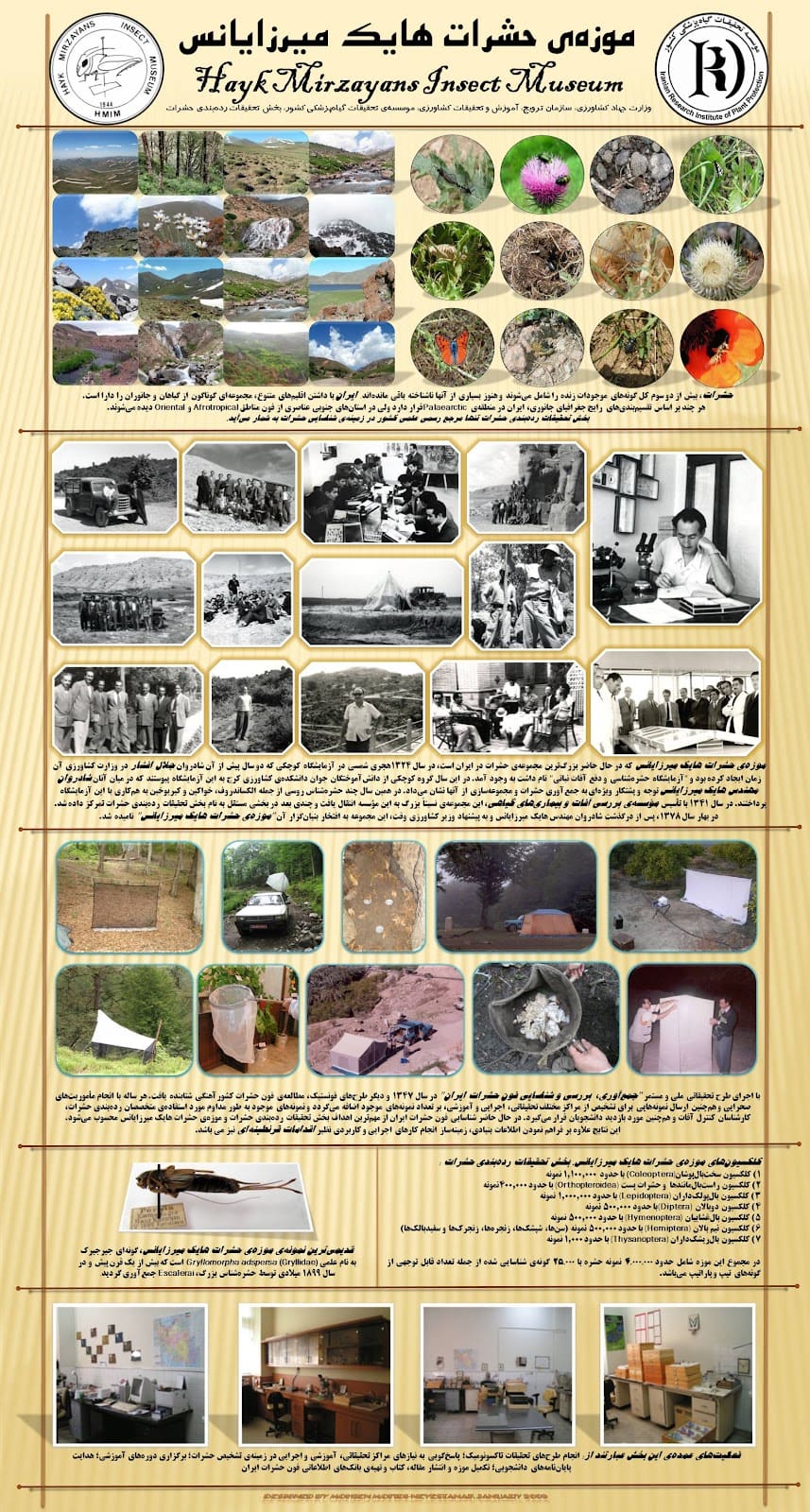 Hayk Mirzayans Insect Museum