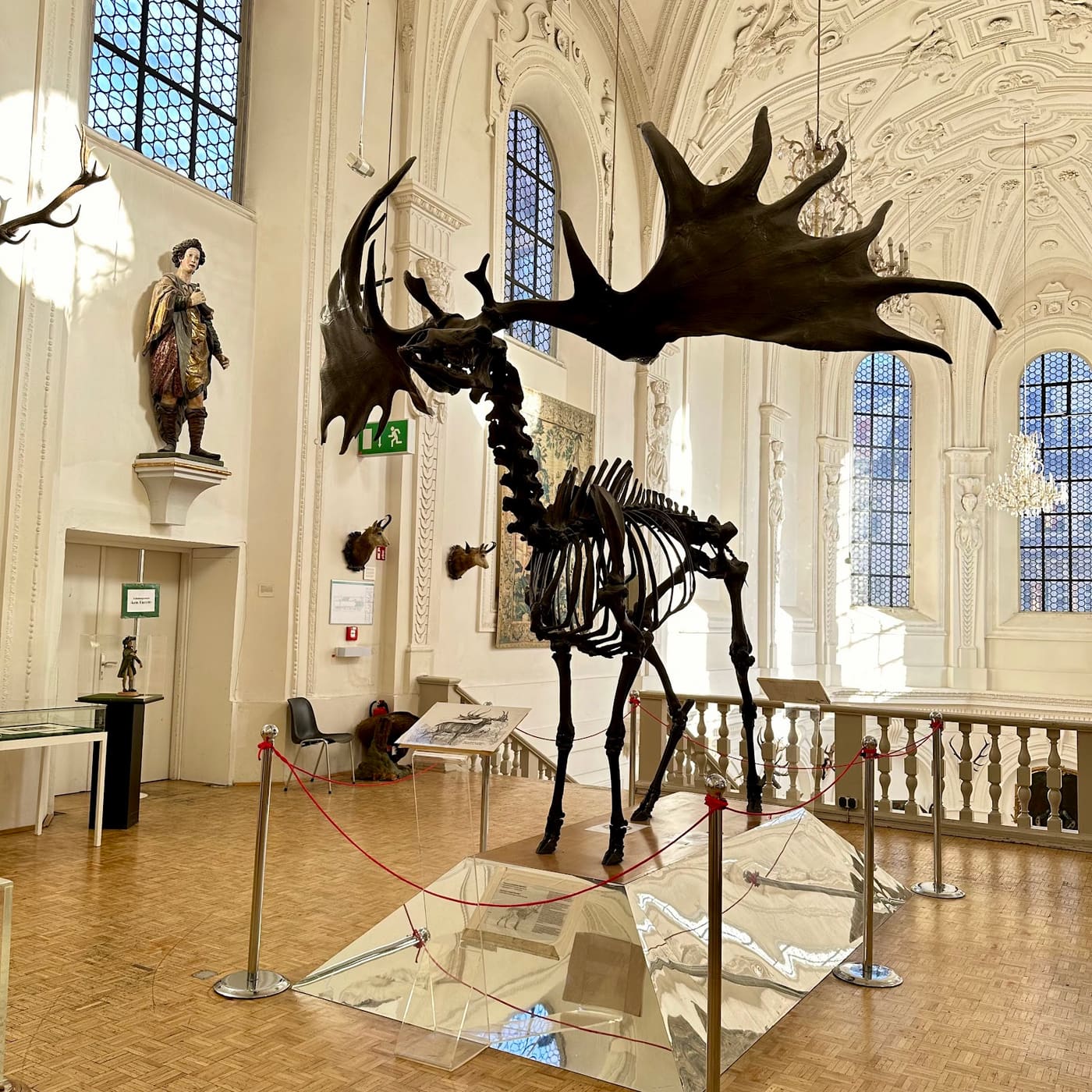 Deutsches Jagd- und Fischereimuseum