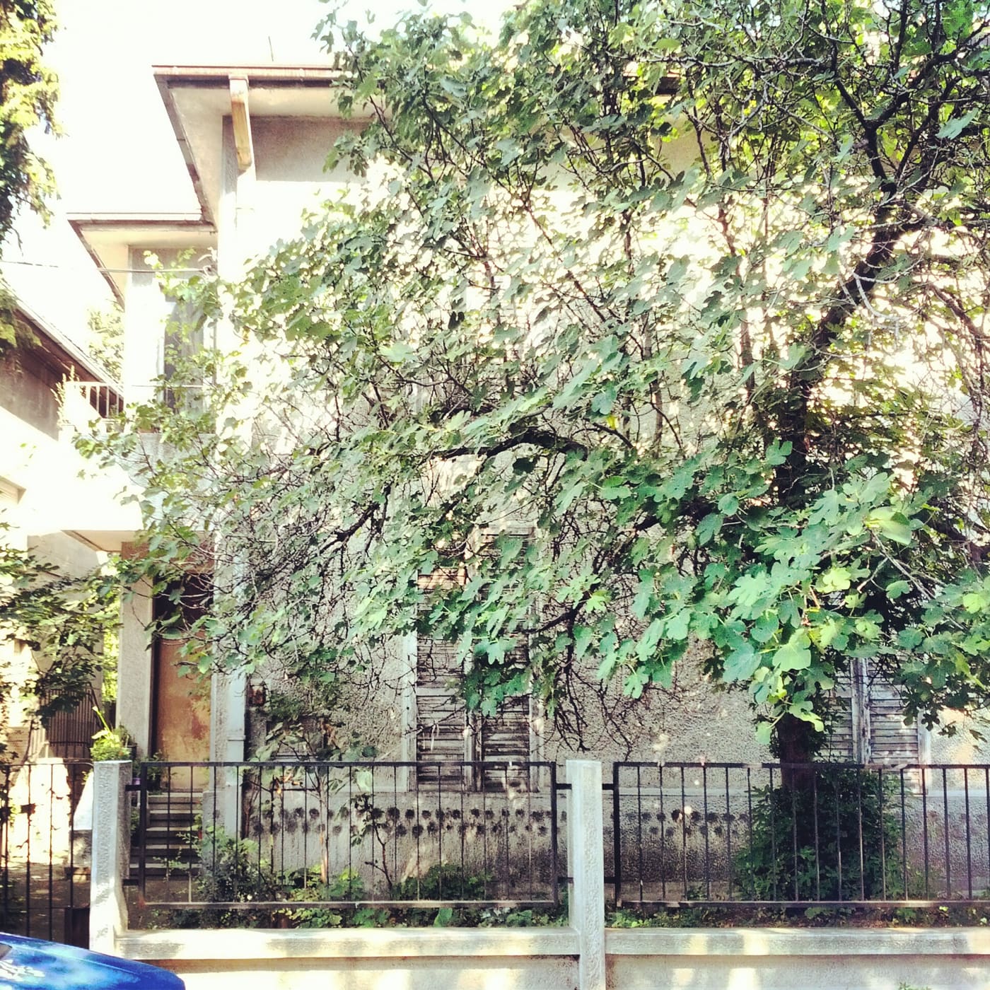 Memorial Museum of Nadežda and Rastko Petrović