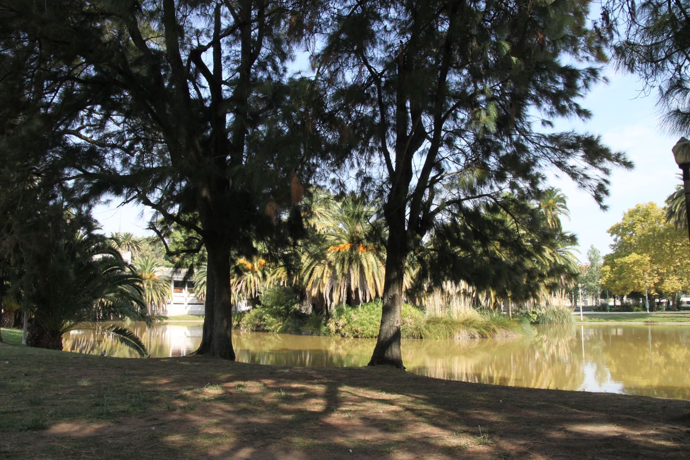 Mário Soares Garden