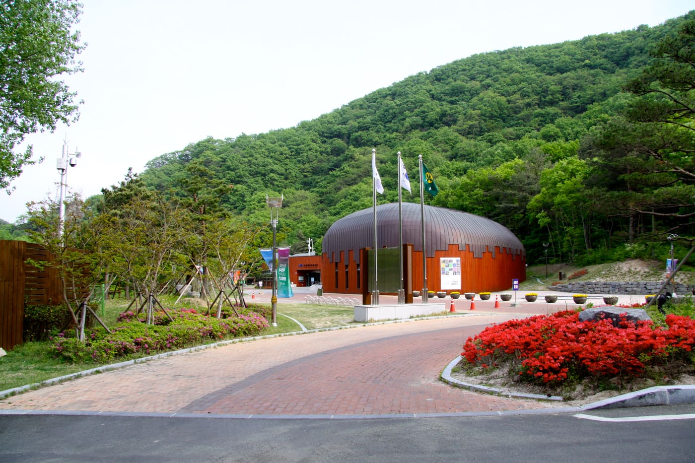 Ulsan Petroglyph Museum