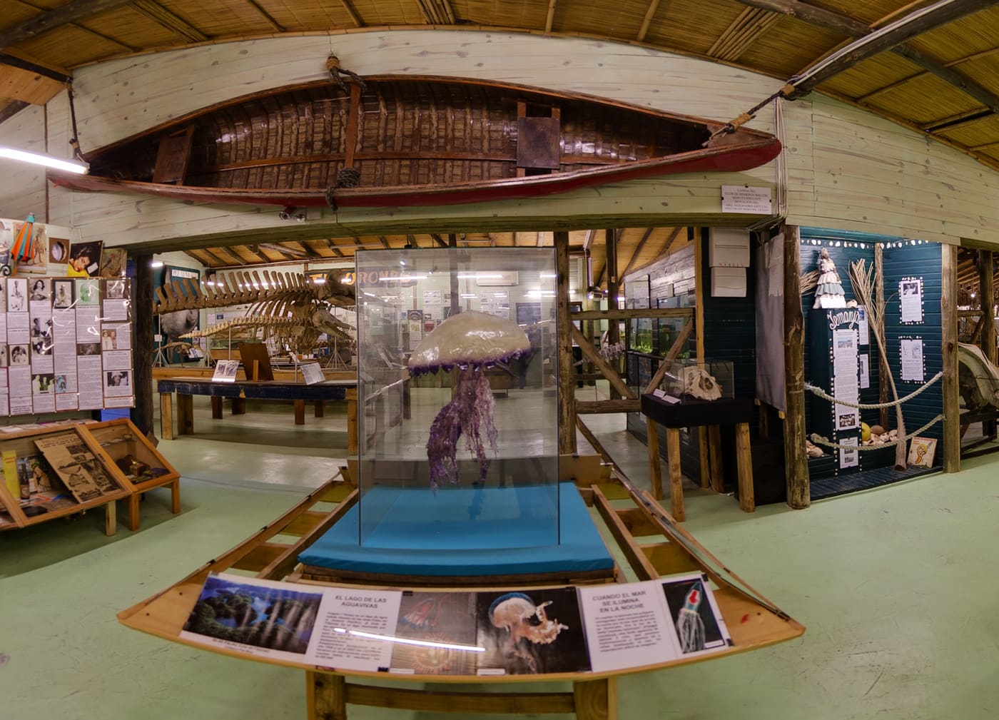 Museum of the Sea