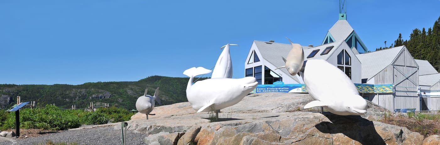 Centre d'interprétation des mammifères marins