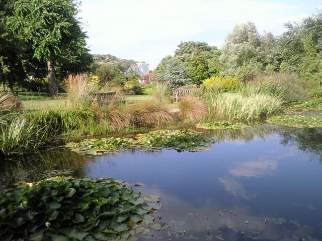 Pines Garden