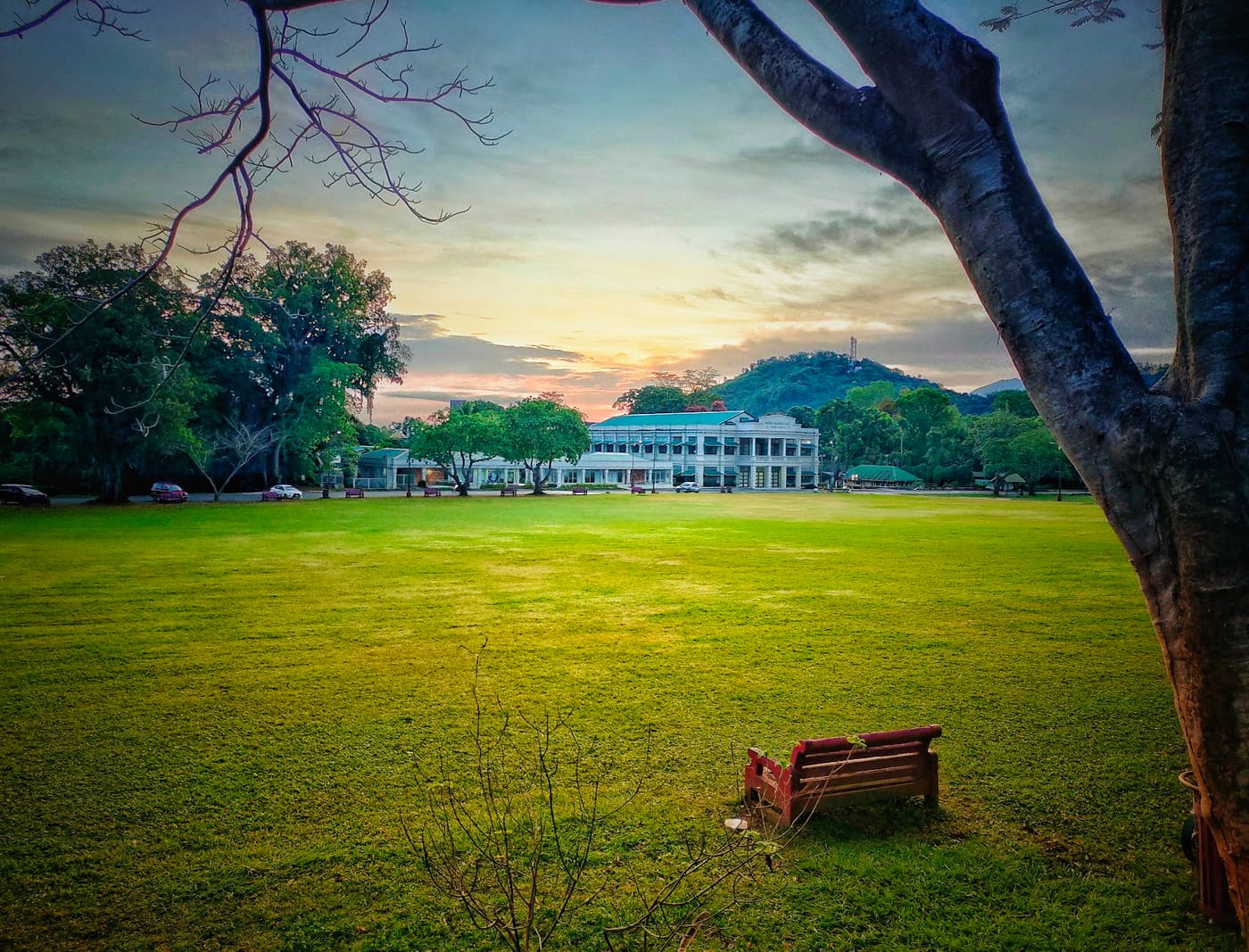 University of the Philippines Los Baños School of Environmental Science and Management