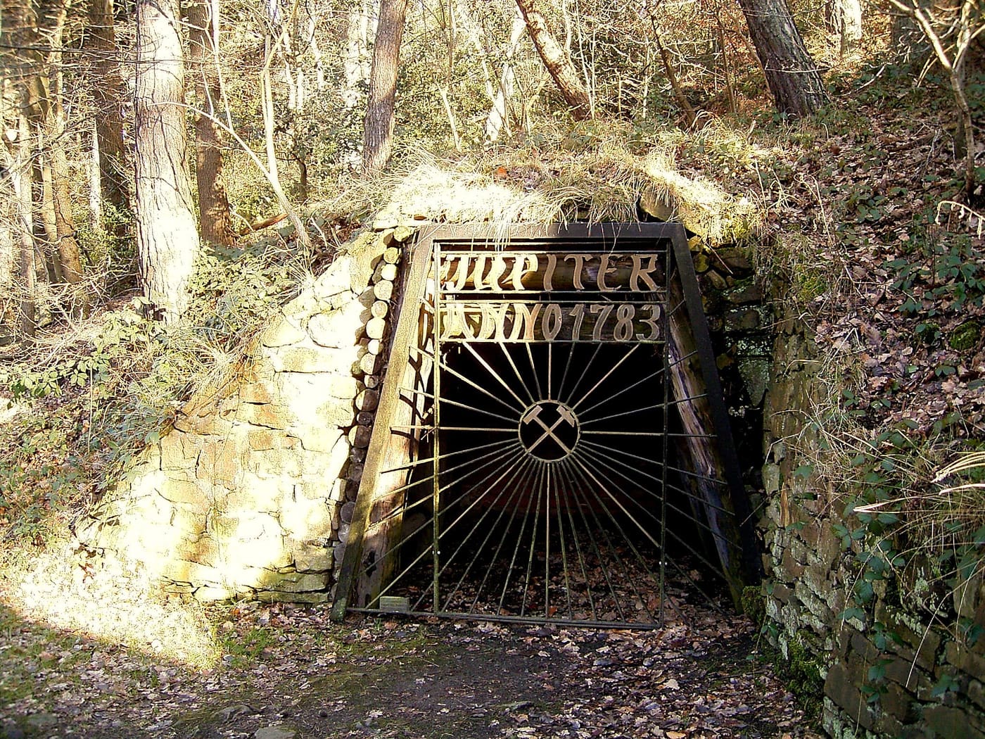 Mine Fortuna