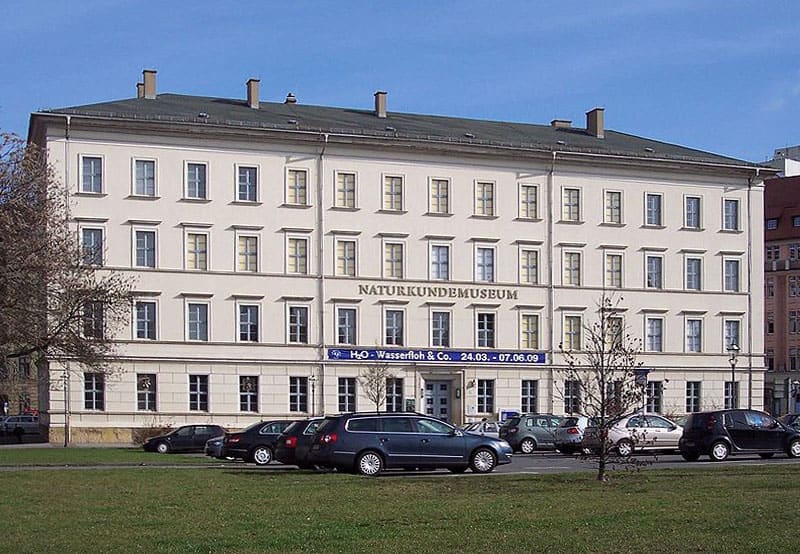 Natural History Museum Leipzig