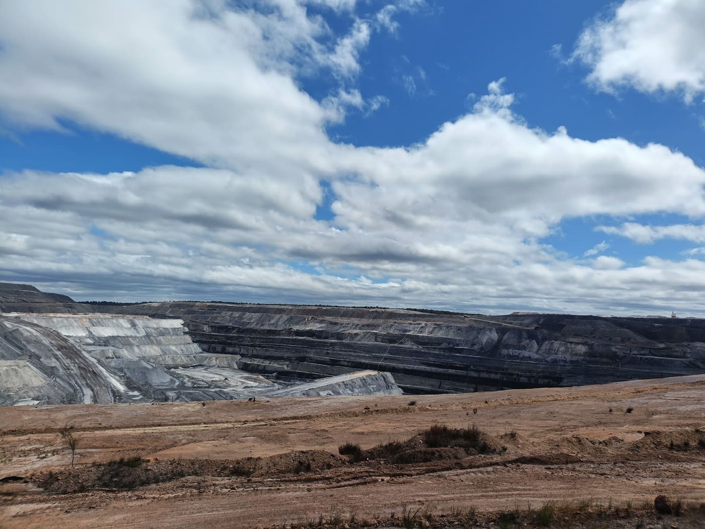 Griffin Coal