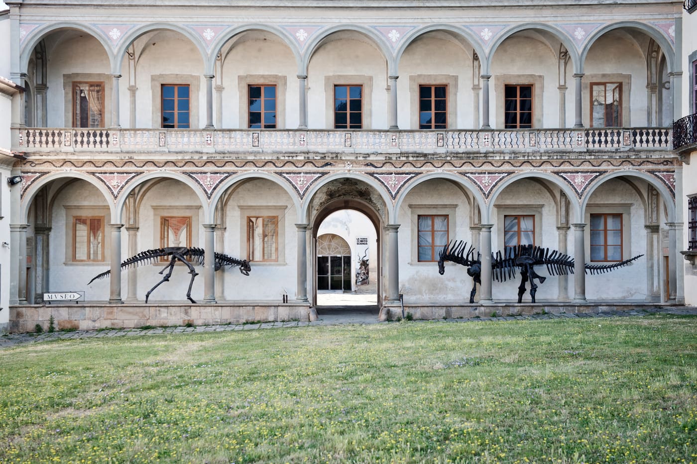 Natural History Museum of the University of Pisa