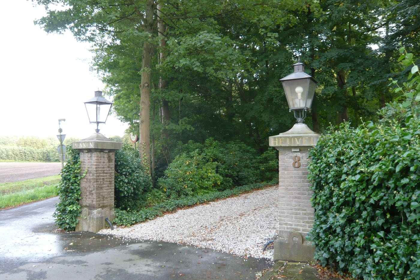 Dennenheuvel