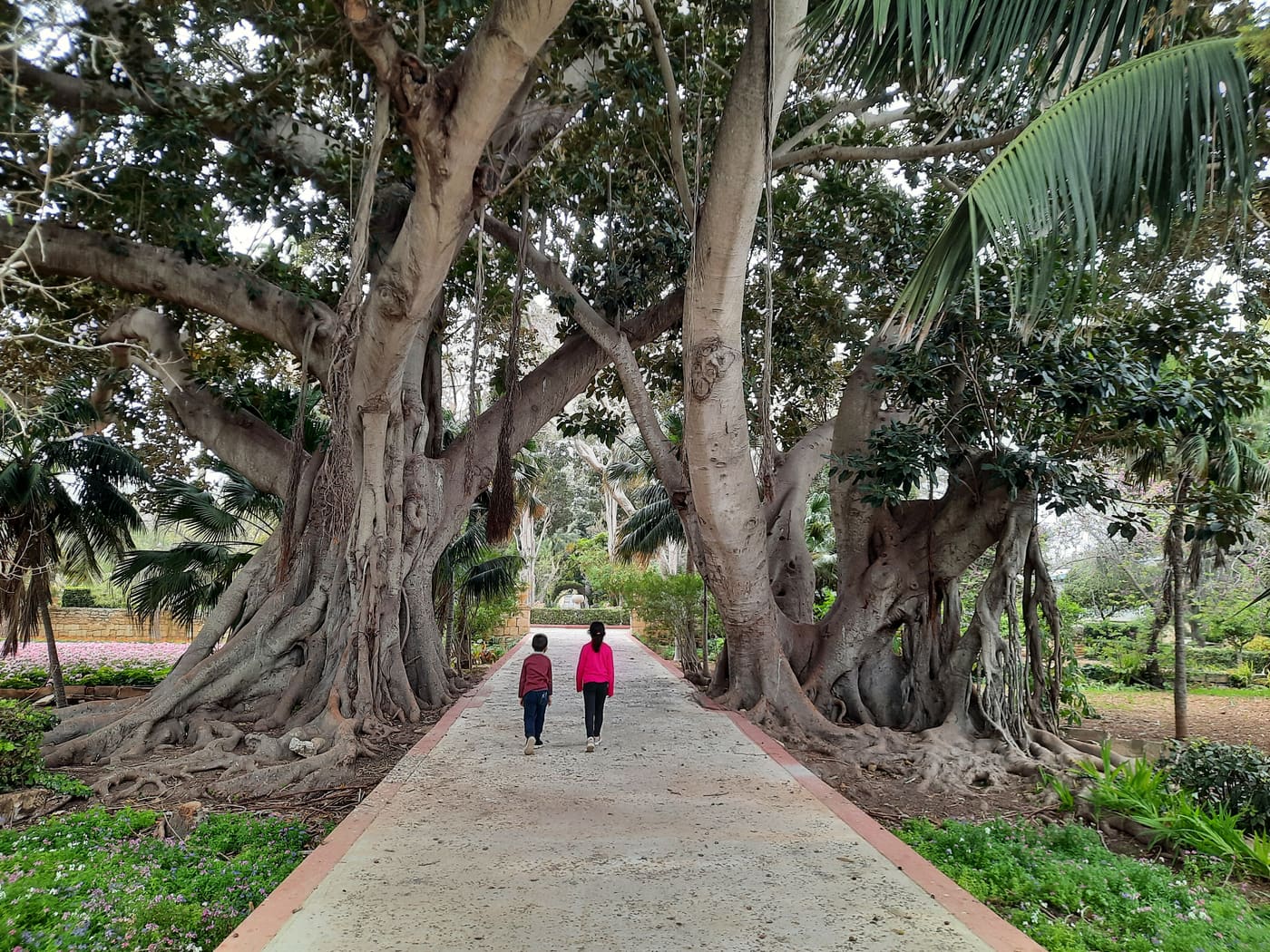 San Anton Gardens