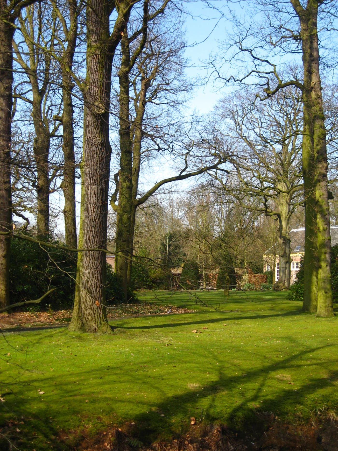 Rhijngeest park