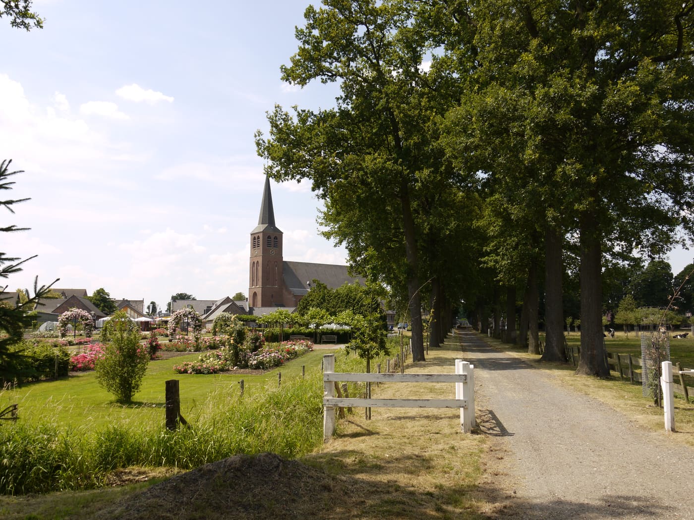 Borggraaf Castle: garden