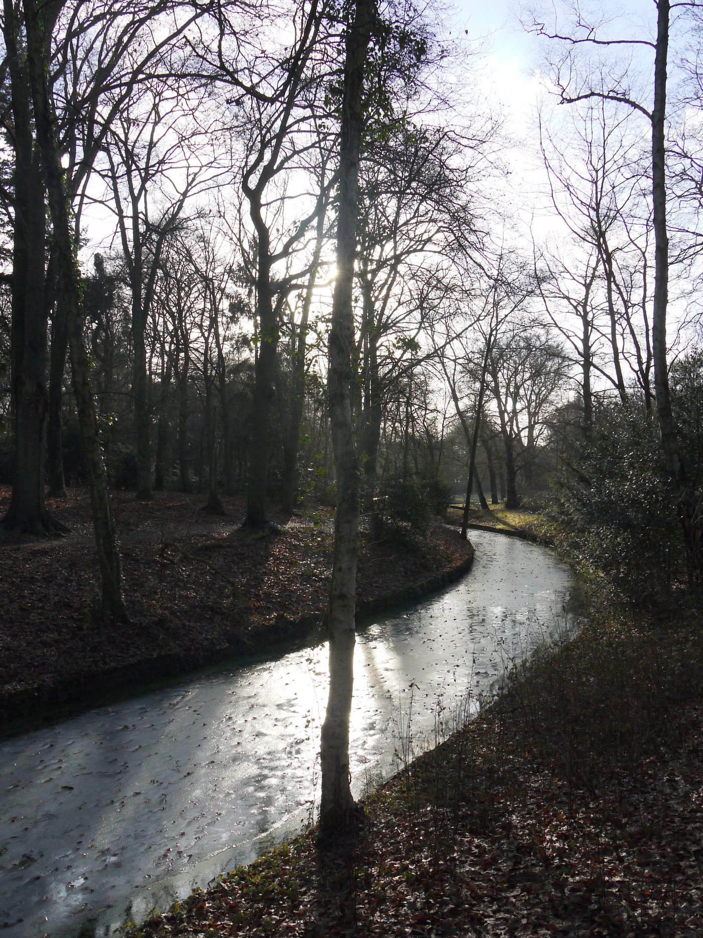 Pavia, Zeist