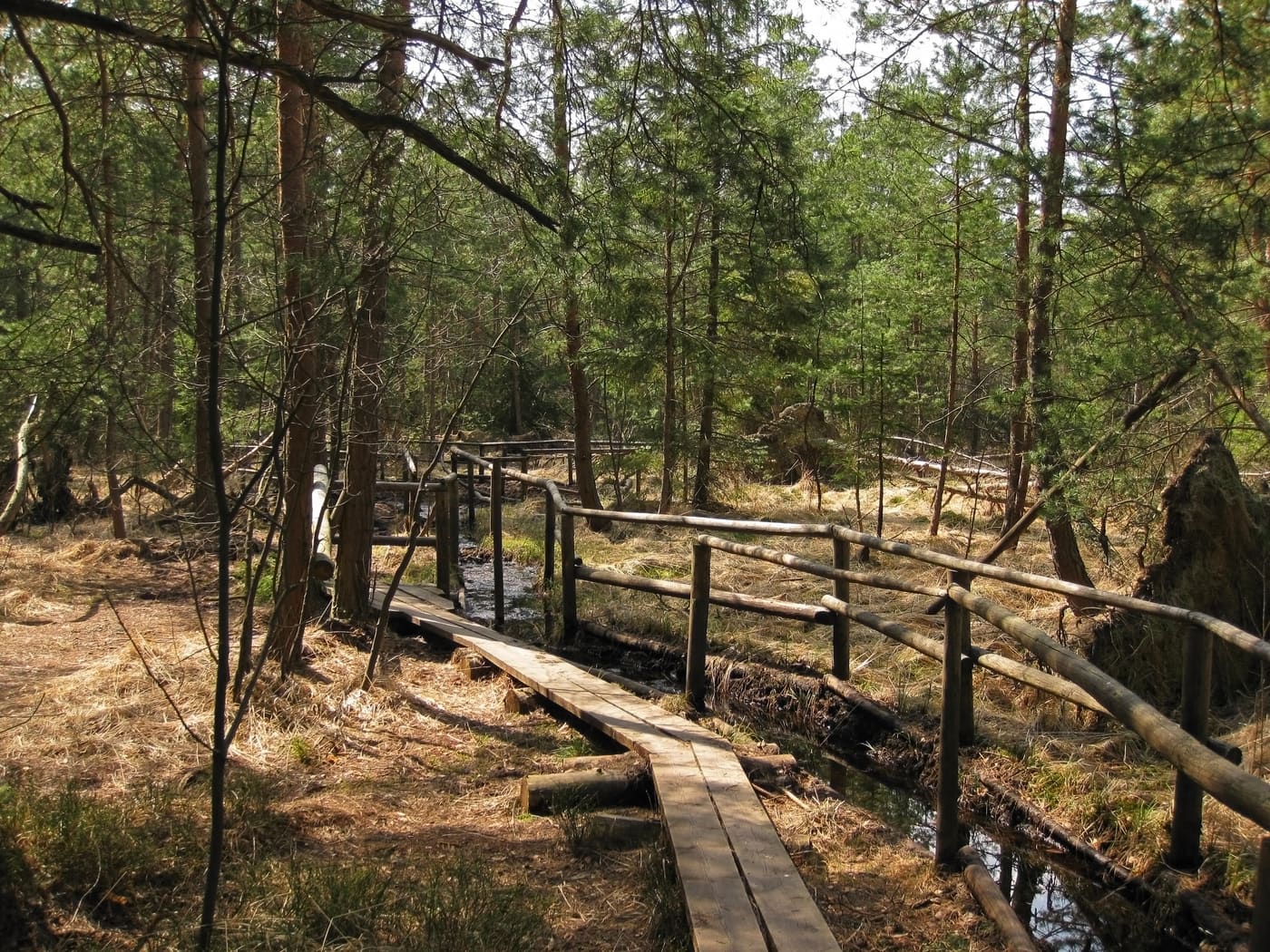 Naturpark Heidenreichsteiner Moor