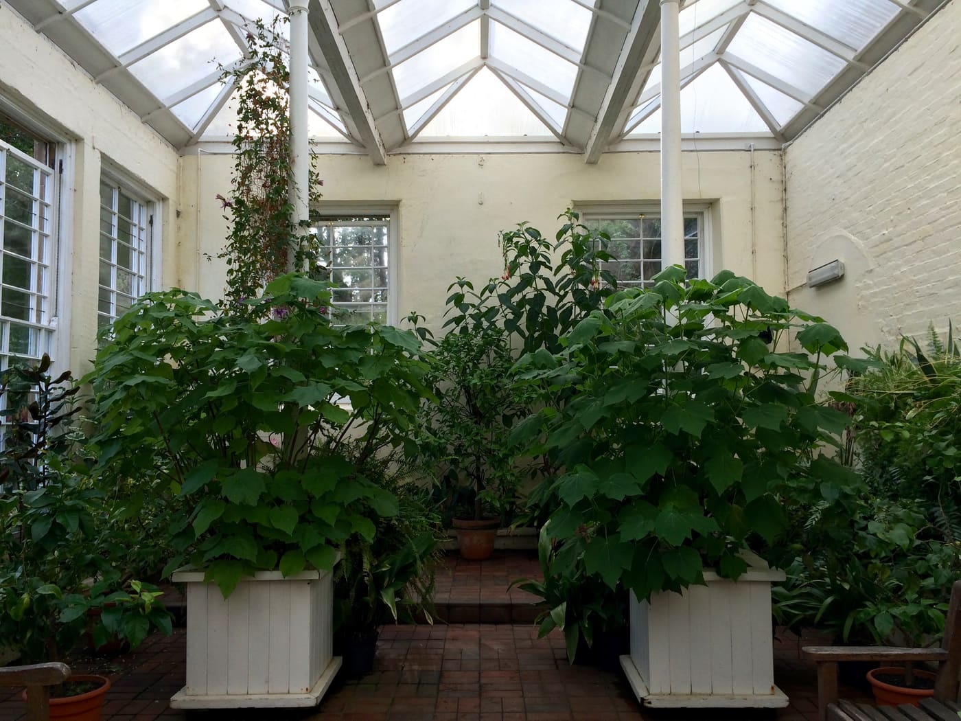 Orangery and Shelter, Terrace Walls, Including Fountain, Fountain Court, Culzean Castle Estate