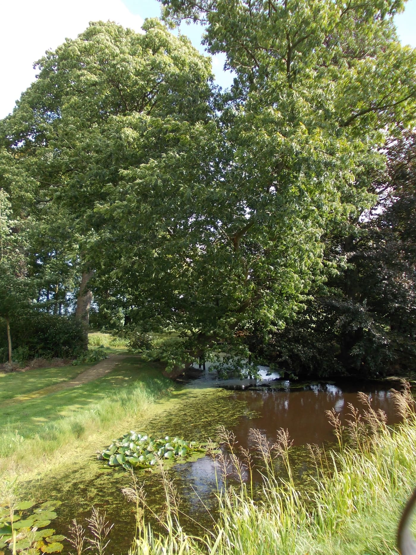 Oosteinde 46, Blijham