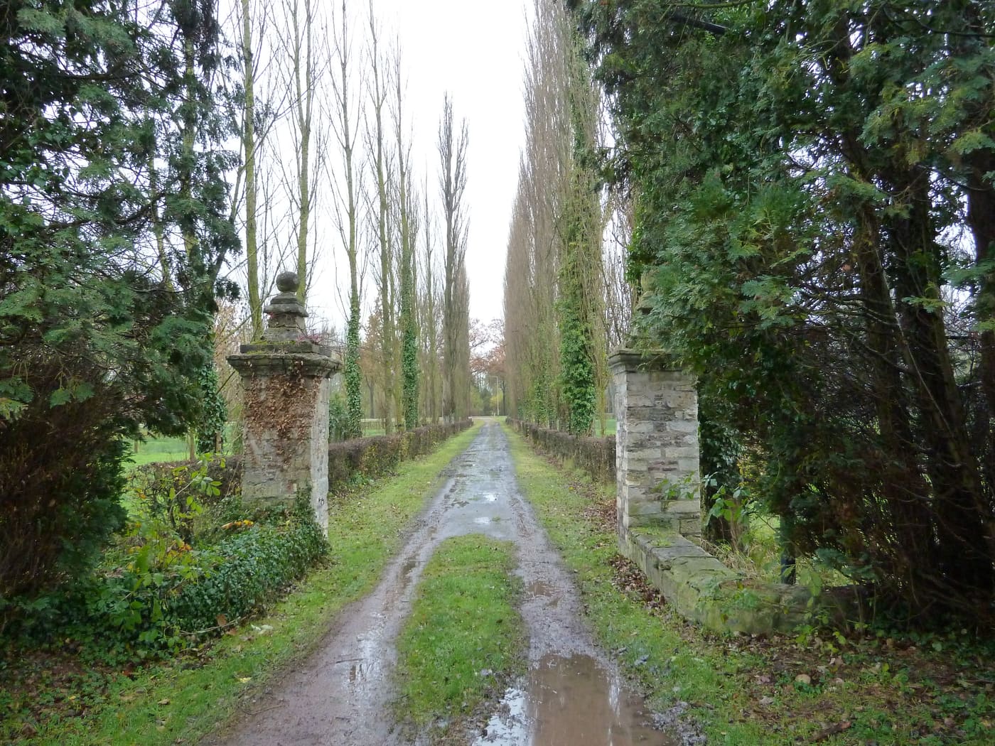 Wijlre Castle: historic garden and park