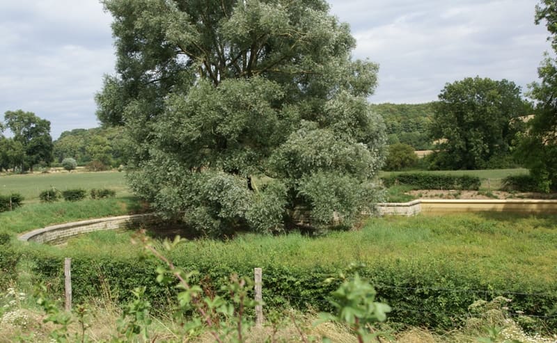 Château Neercanne: park and gardens