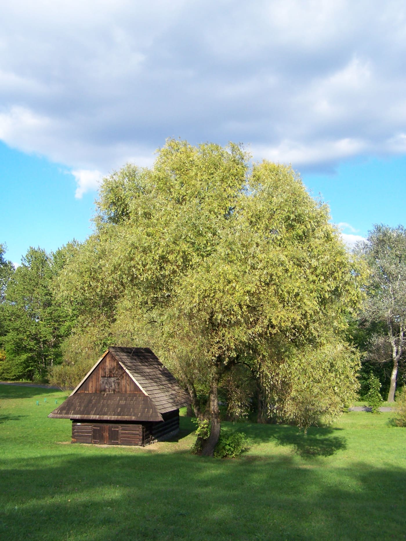Upper Silesian Ethnographic Park