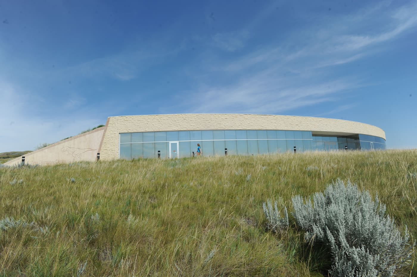 T.rex Discovery Centre