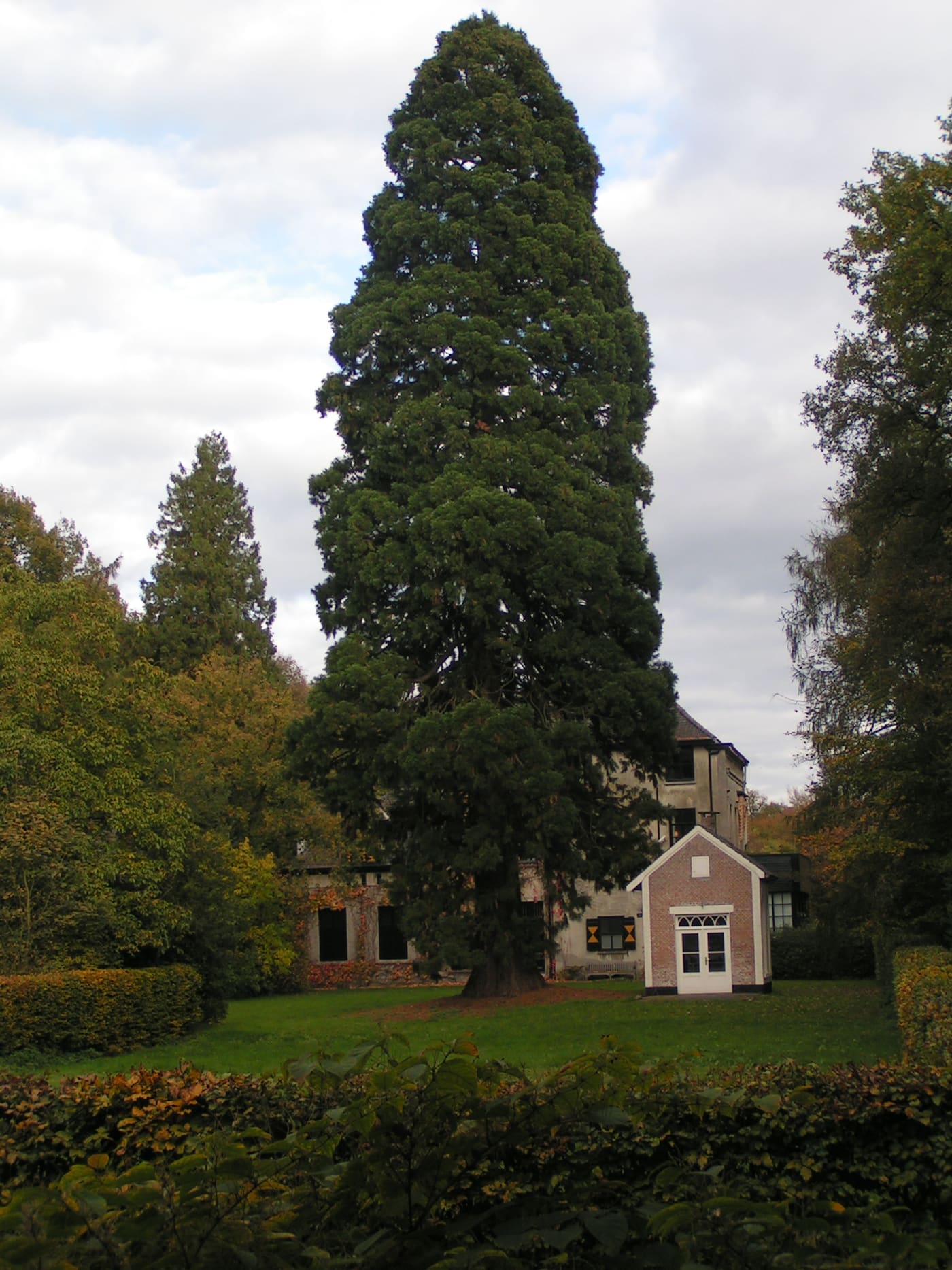 Eikenhorst