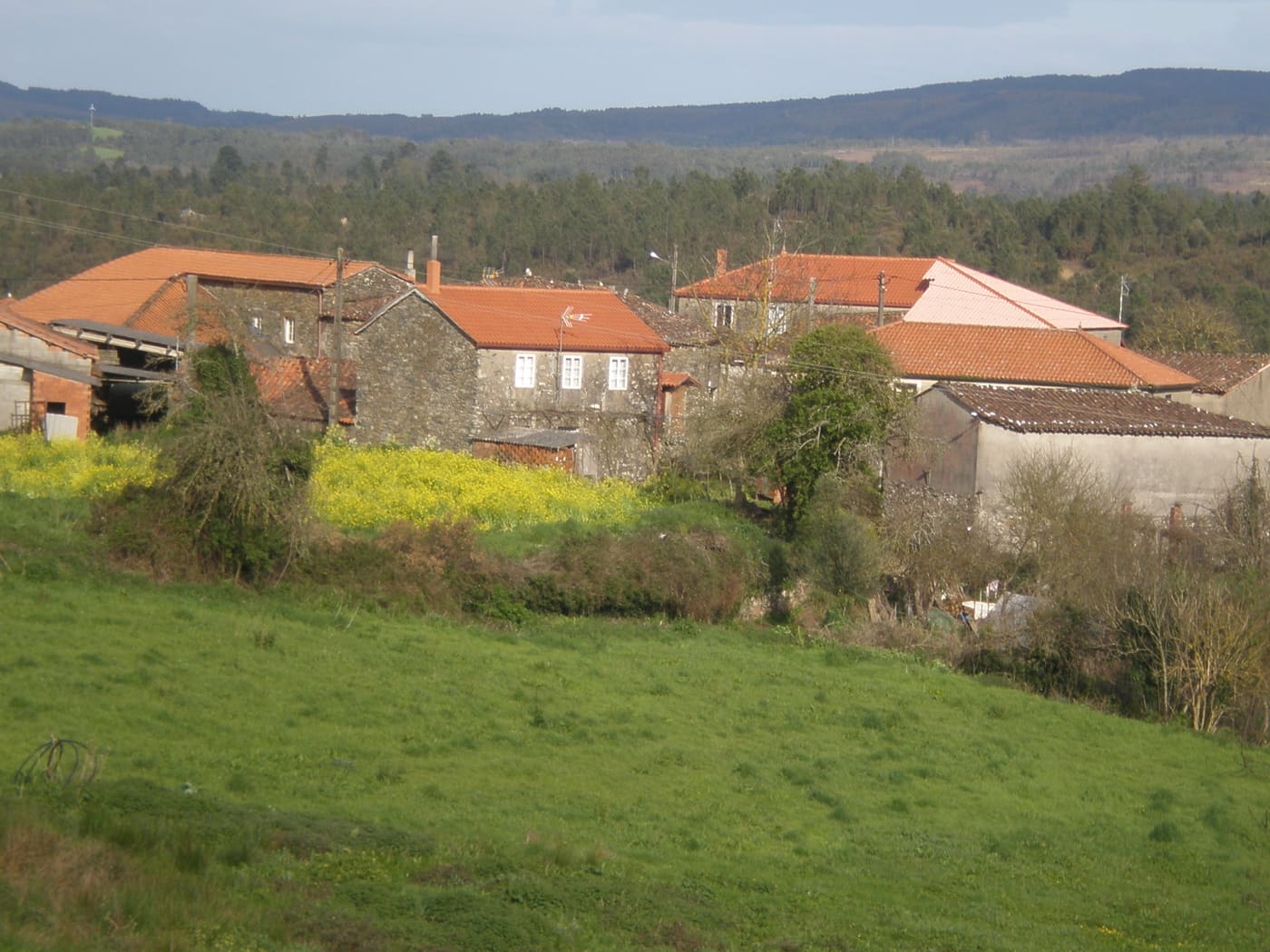 Sucre House