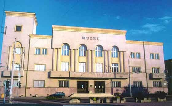 Satu Mare County History Museum