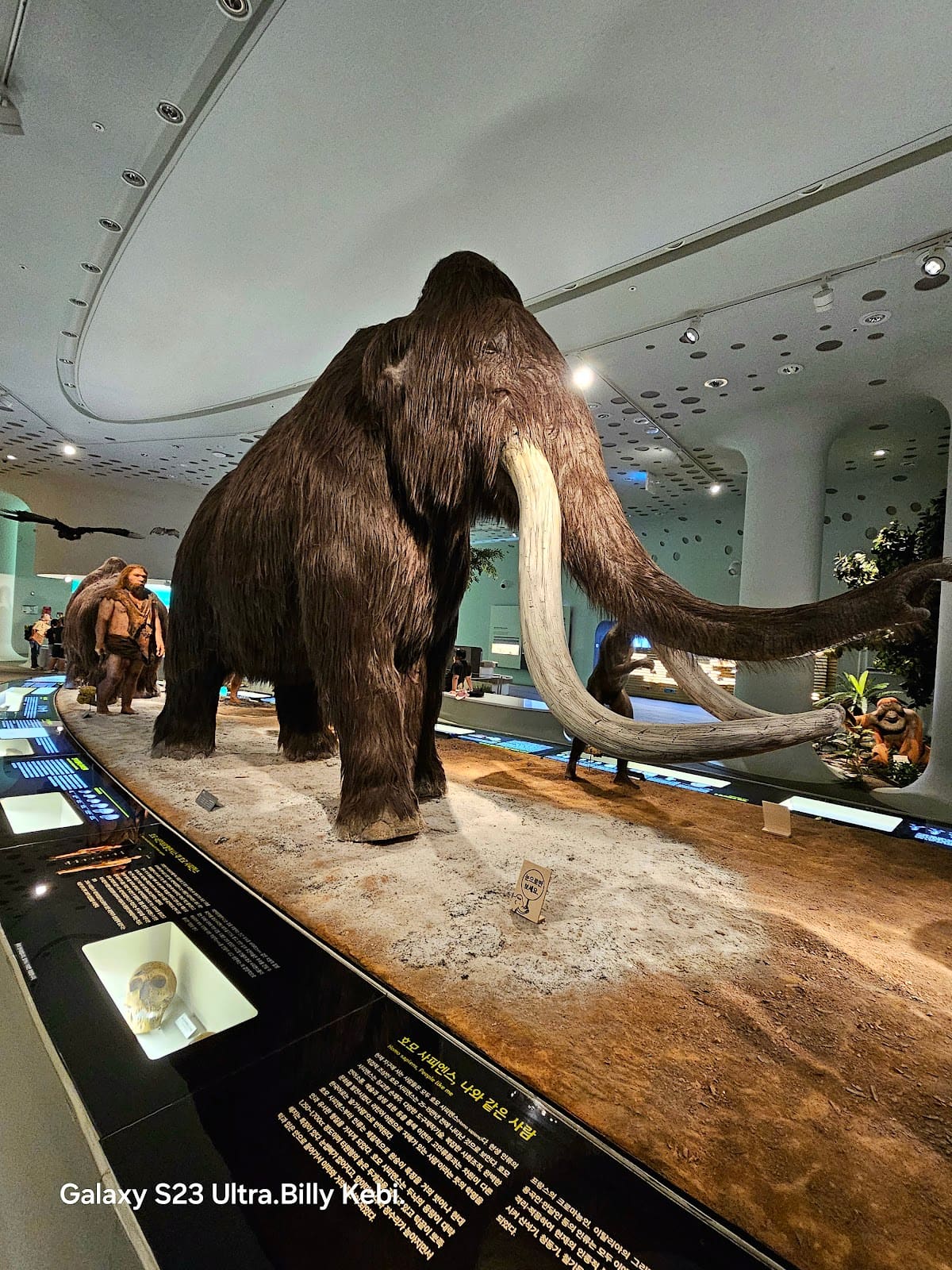 Jeongok Prehistory Museum